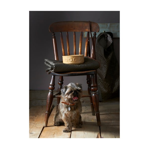 Kameninová miska pre psov Mason Cash Dog Cane, ø 25 cm-image-2