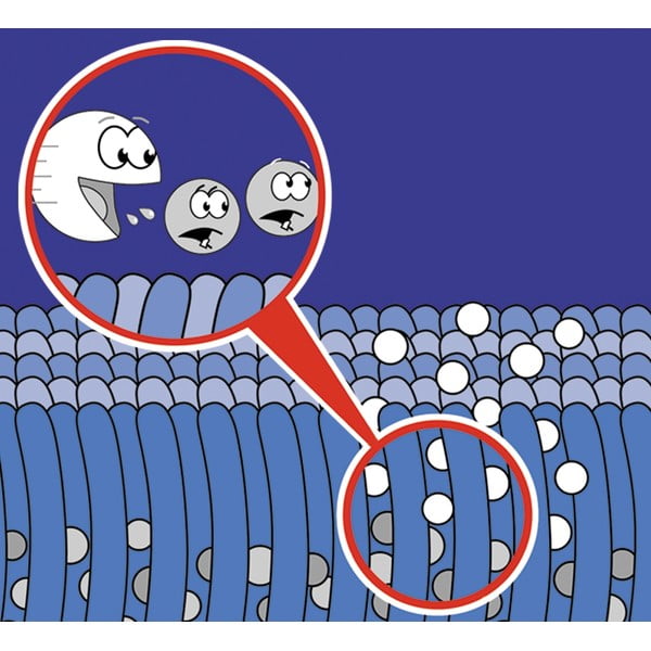 Čistiaci sprej na koberce 500 ml Nano - Maximex-image-1