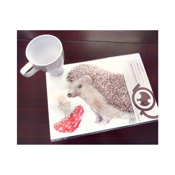 Samolepka na viac použití Hedgehog, 30x21 cm-image-1