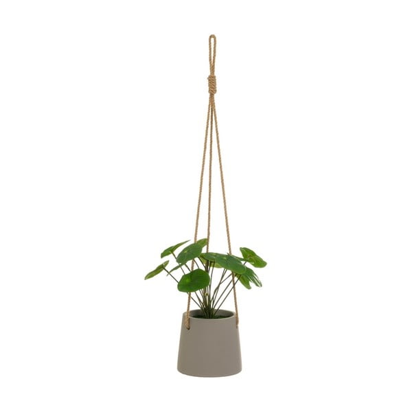 Umelá rastlina (výška 24 cm) Pilea – Casa Selección