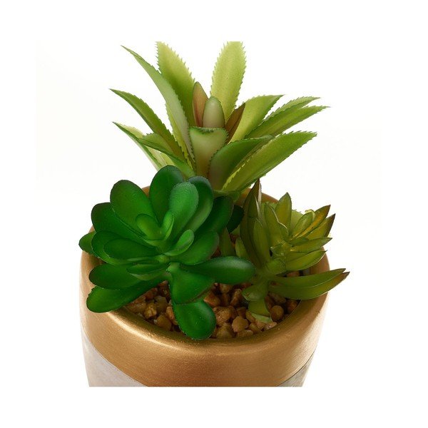 Umelé rastliny v súprave 4 ks (výška  17 cm) Cactus – Casa Selección-image-1