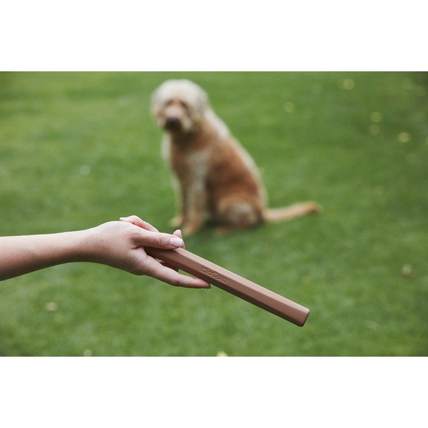 Hračka pre psa Ramo Sage – MiaCara-image-2