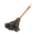 Prachovka z pštrosieho peria – Addis