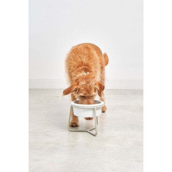 Porcelánová miska s podstavcom pre psa ø 20 cm Pranzo Greige M – MiaCara-image-2