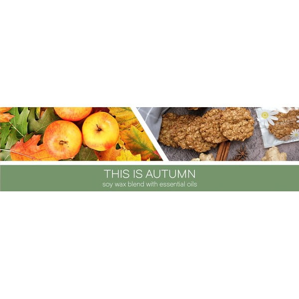 Vonná  sójová sviečka doba horenia 35 h This Is Autumn – Goose Creek-image-1