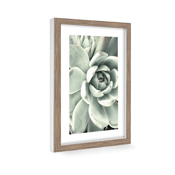 Plagát 60x90 cm Aloe-image-1
