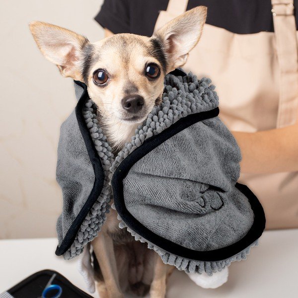 Uterák pre domáceho miláčika – Love Story-image-1