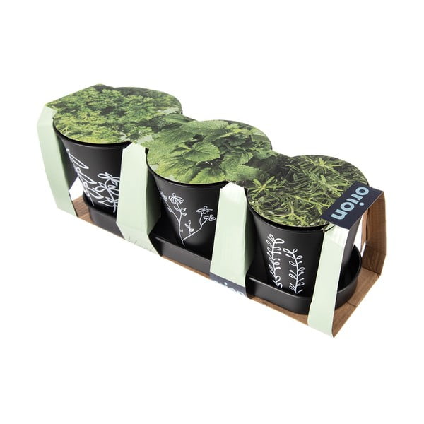 Kovové kvetináče na bylinky v súprave 3 ks ø 11 cm Black – Orion-image-3