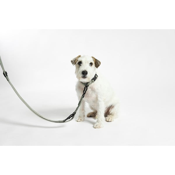 Béžová prepínacia vôdzka dĺžka 200 cm Modena Greige 20 mm – MiaCara-image-3