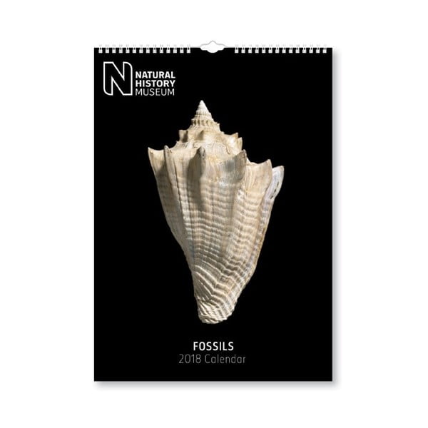 Nástenný kalendár na rok 2018 Portico Designs Natural History Museum Fossils, A3
