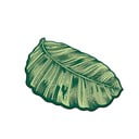 Zelená kúpeľňová predložka 60x100 cm Sheet – Foutastic