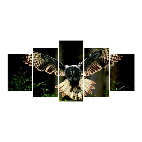 Viacdielny obraz La Maison Des Couleurs Owl