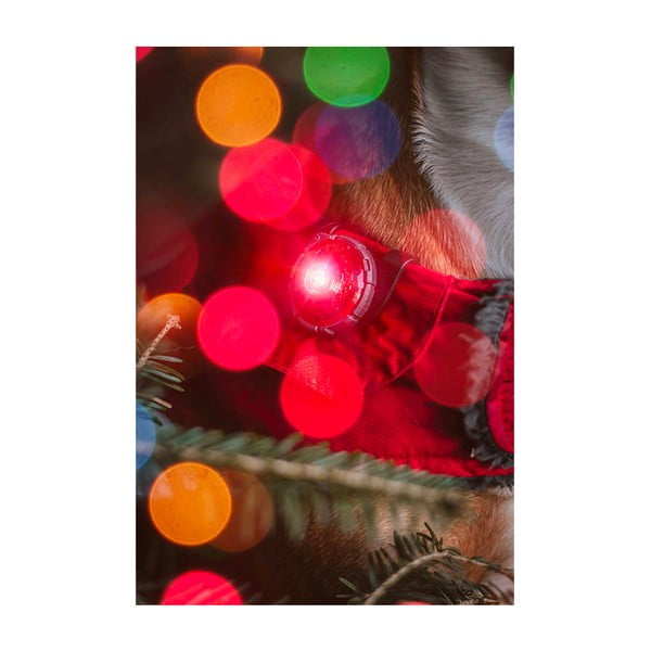 LED svetlo na obojok Red – Orbiloc-image-4