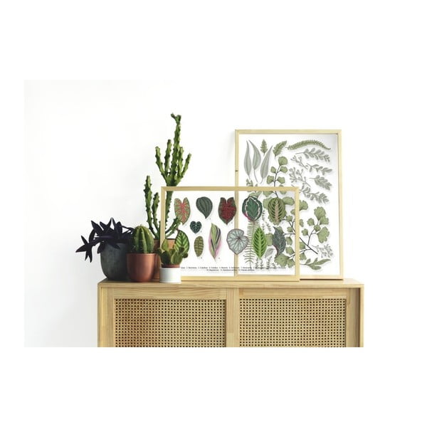 Obraz s rámom z borovicového dreva Surdic Leafes Collection, 50 x 70 cm-image-1