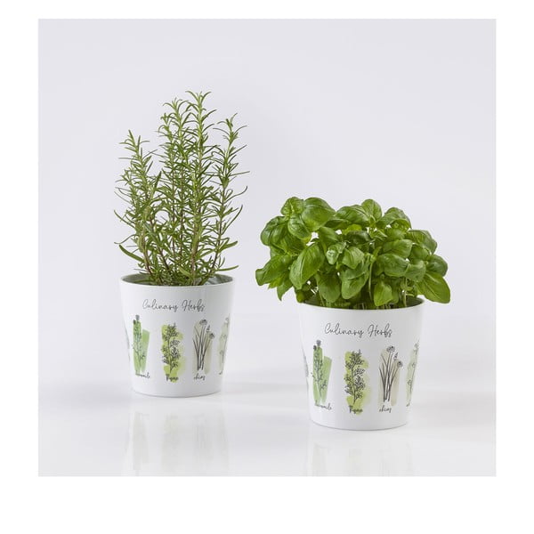 Keramické kvetináče v súprave 2 ks na bylinky ø 14 cm Dalllas Culinary - Big pots-image-1