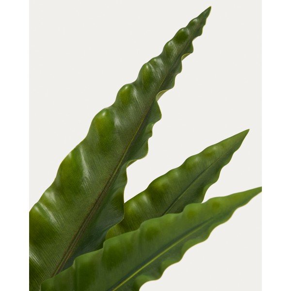 Umelý sukulent (výška  70 cm) Neottopteris – Kave Home-image-2