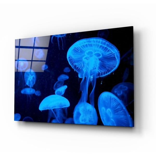 Sklenený obraz Insigne Jellyfish