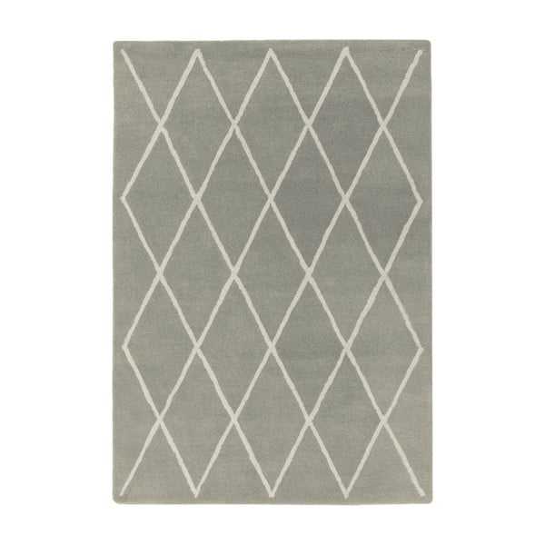 Sivý ručne tkaný vlnený koberec 160x230 cm Albany – Asiatic Carpets