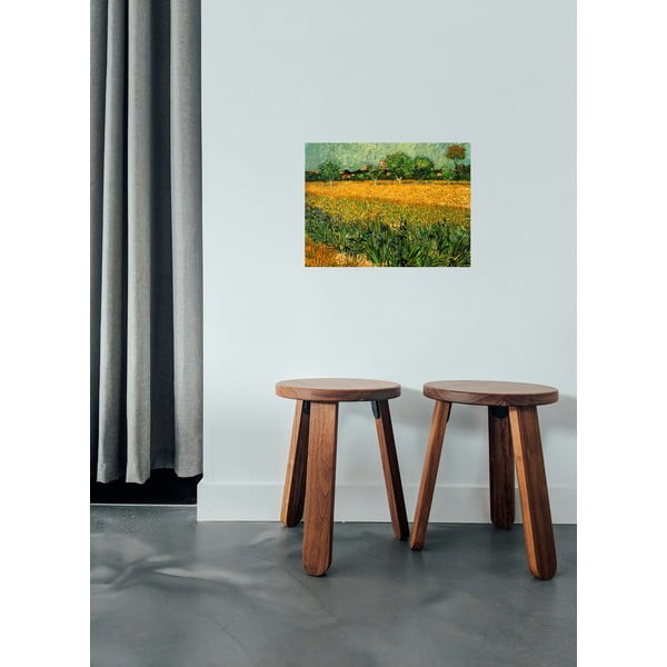 Reprodukcia obrazu Vincenta van Gogha - View of arles with irisos in the foreground, 40 × 30 cm-image-1