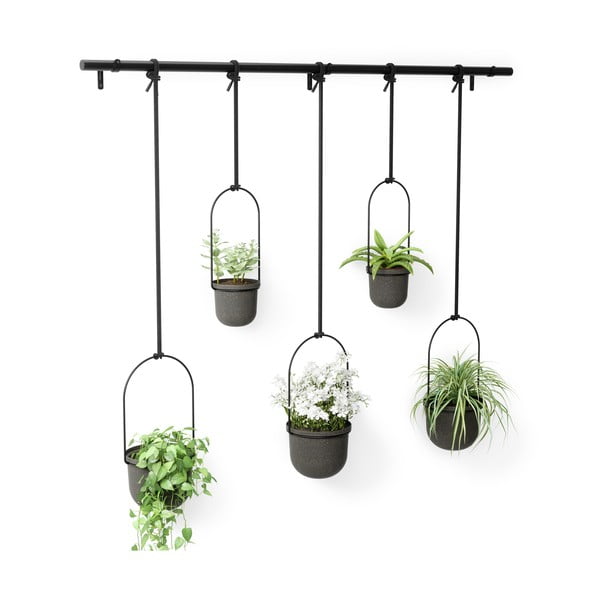 Plastové obaly na kvetináče v súprave 5 ks  na bylinky/závesné a nástenné  ø 7,5 cm Triflora – Umbra-image-4