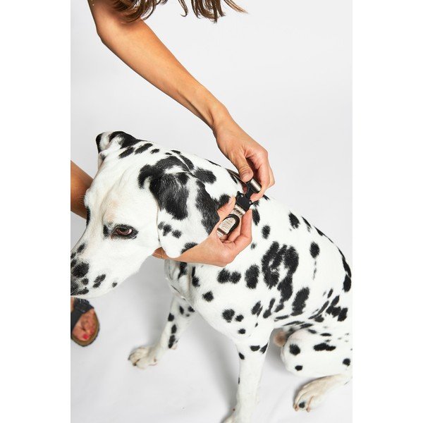 Béžový obojok veľkosť S/M dĺžka 32 cm Modena Greige S/SM – MiaCara-image-2