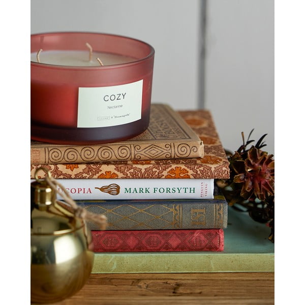 Vonná  sviečka doba horenia 25 h Cozy Nectarine – ILLUME x Bloomingville-image-1