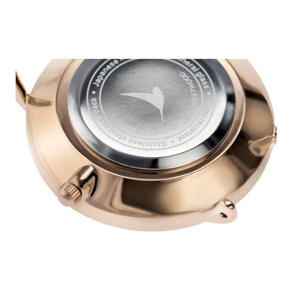 Dámske antikoro hodinky s remienkom v striebornej farbe Emily Westwood Go-image-2