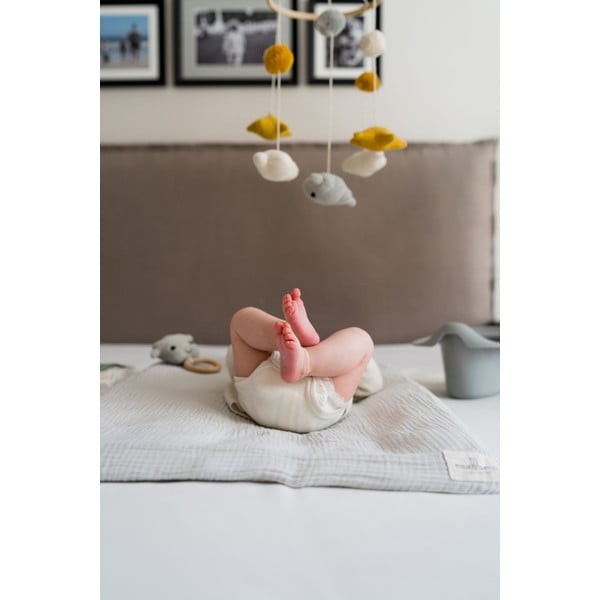 Sivý nočník - Kindsgut-image-2