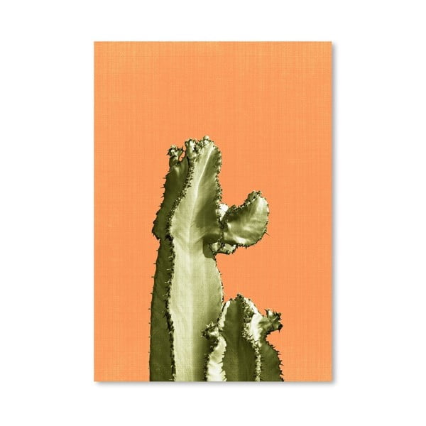 Plagát Cactus On Orange