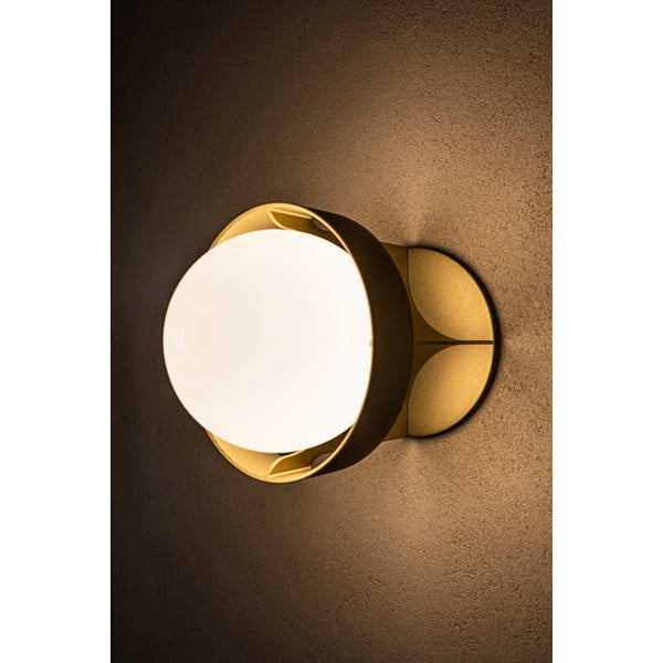 Stmievateľné nástenné svietidlo v zlatej farbe Loop – tala-image-4