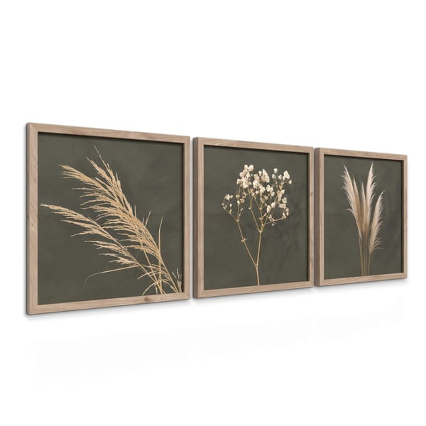 Obrazy v súprave 3 ks 30x30 cm Pampas – Styler-image-4