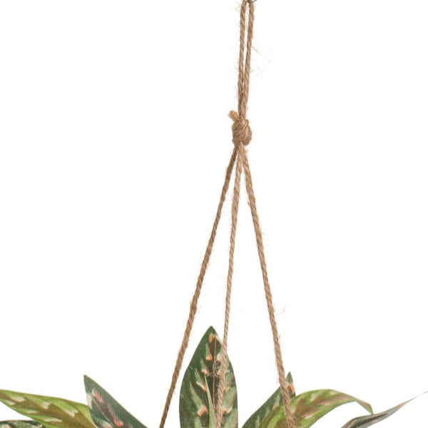 Umelá rastlina (výška 25 cm) – Casa Selección-image-2