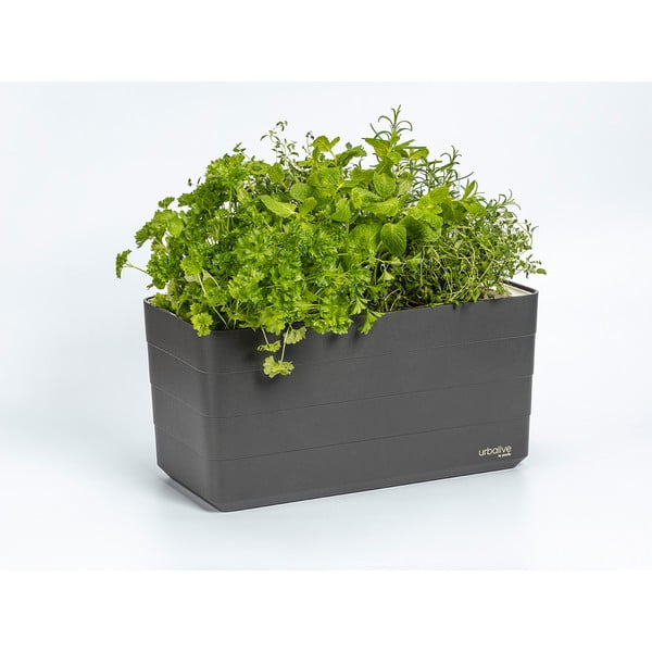 Plastový samozavlažovací kvetináč 39,5 cm Berberis – Plastia-image-1