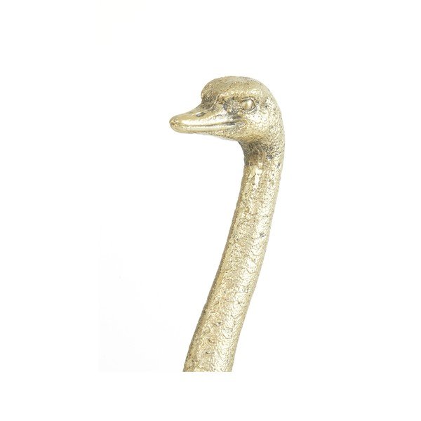 Soška z polyresínu Ostrich – Light & Living-image-4