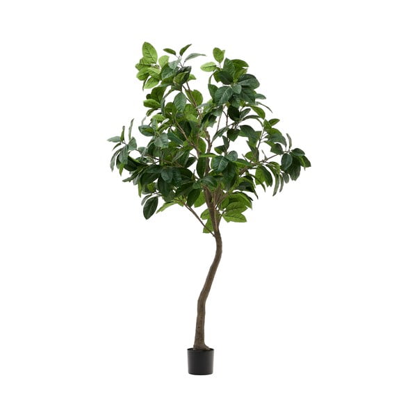 Umelý fikus (výška 210 cm) Ficus – Kave Home