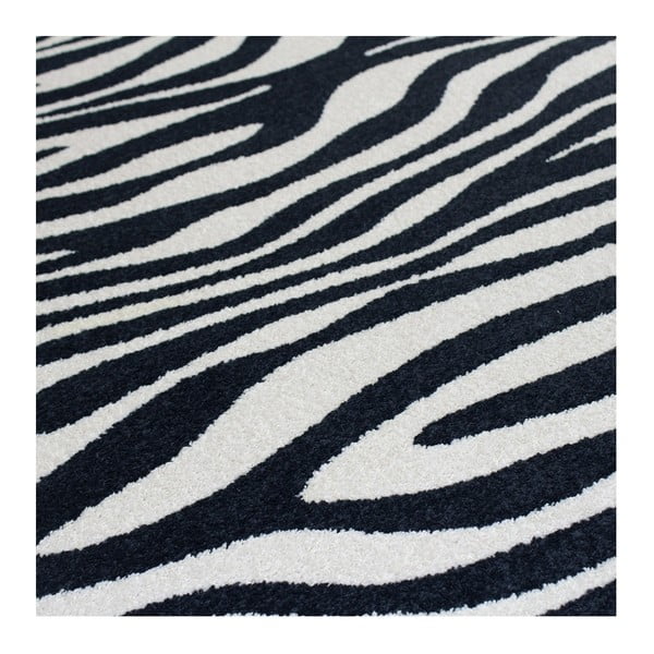Koberec Zebra, 200 × 300 cm-image-2