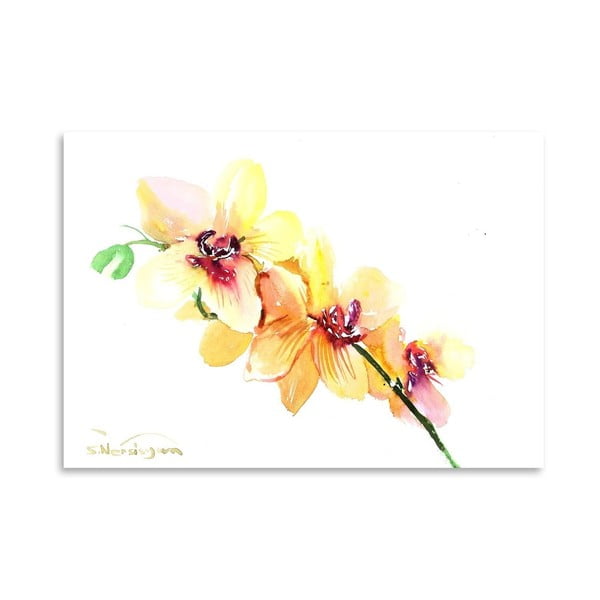Plagát Peach Orchids od Suren Nersisyan