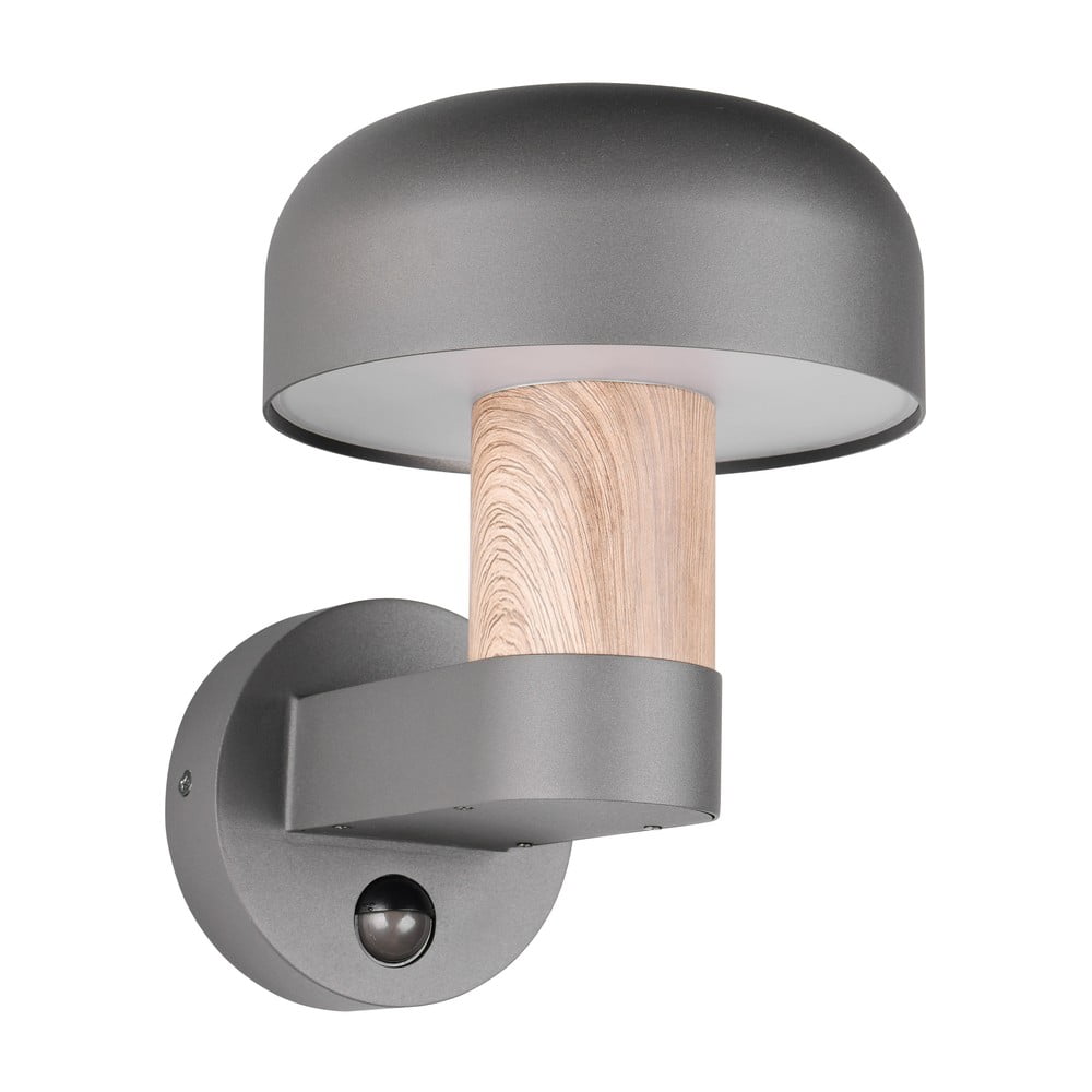 E-shop Nástenné vonkajšie svietidlo (výška 24,5 cm) Fraser – Trio