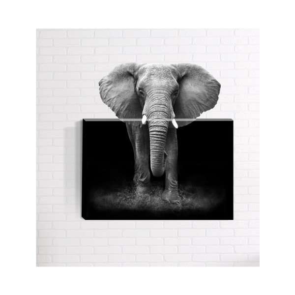 Nástenný 3D obraz Mosticx Afrika, 40 x 60 cm