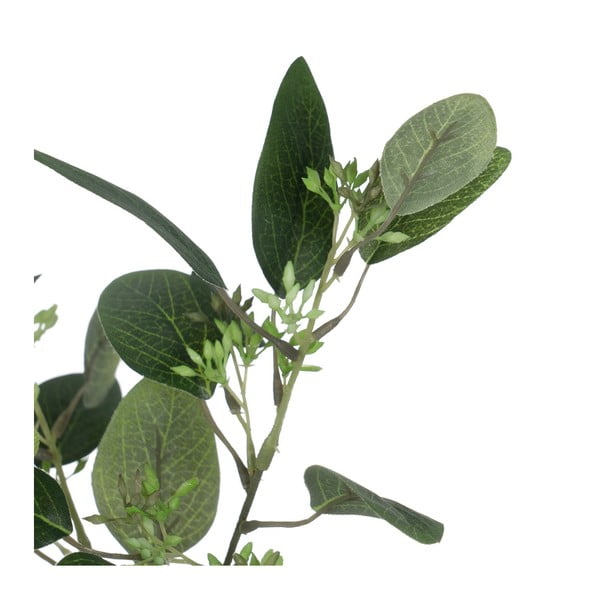 Umelý eukalyptus (výška 59 cm) – Ixia-image-1