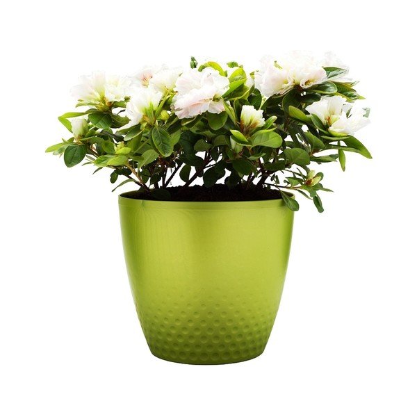 Zelený kvetináč Plastia Perla, ø 21,5 cm-image-1