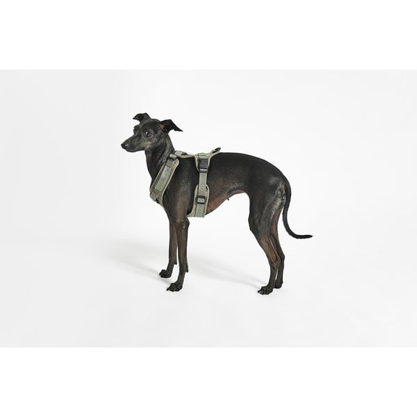 Zelený postroj veľkosť M dĺžka 35 cm Modena Grolive M – MiaCara-image-3