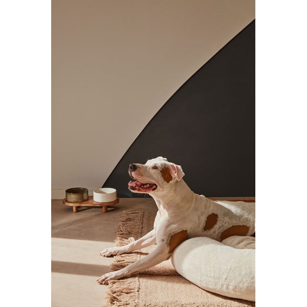 Keramické misky v súprave 2 ks pre psov Dumbi - Kave Home-image-4