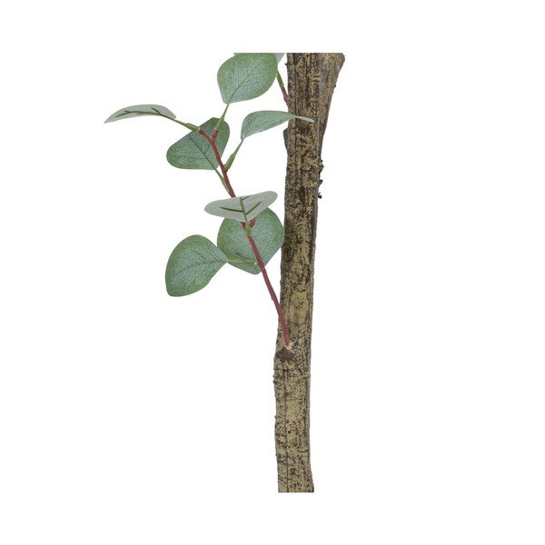 Umelý eukalyptus (výška 180 cm) Eucalyptus – Ixia-image-4