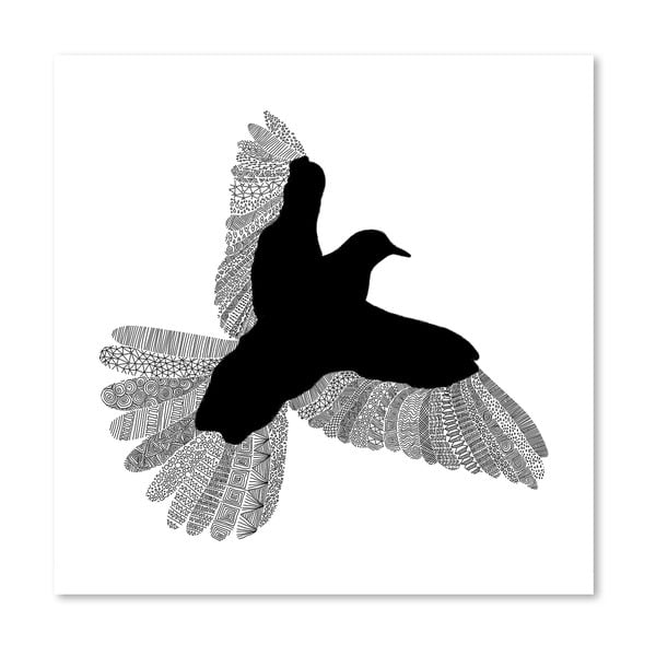Plagát Bird White od Florenta Bodart, 30x30 cm