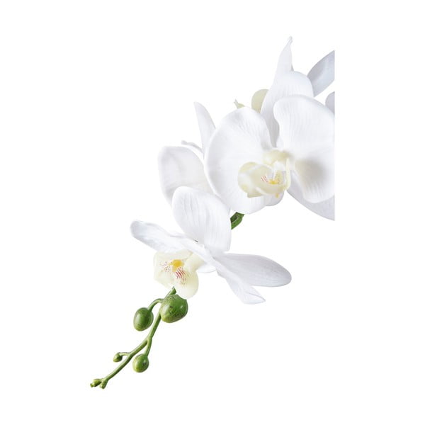 Umelá kvetina (výška 47 cm) Orchid – House Nordic-image-2