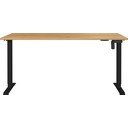 Pracovný stôl s elektricky nastaviteľnou výškou 80x160 cm Boras – Germania
