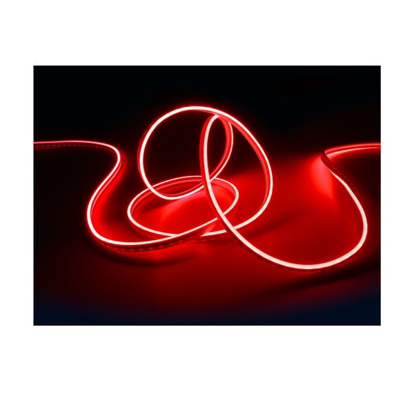 Biely LED pásik 300 cm Neon – Reality-image-4