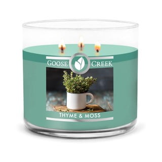 Vonná sviečka v dóze Goose Creek Thyme & Moss, 35 hodín horenia