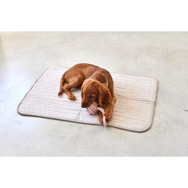 Béžová bavlnená deka pre psa 90x120 cm Onda Greige L – MiaCara-image-2